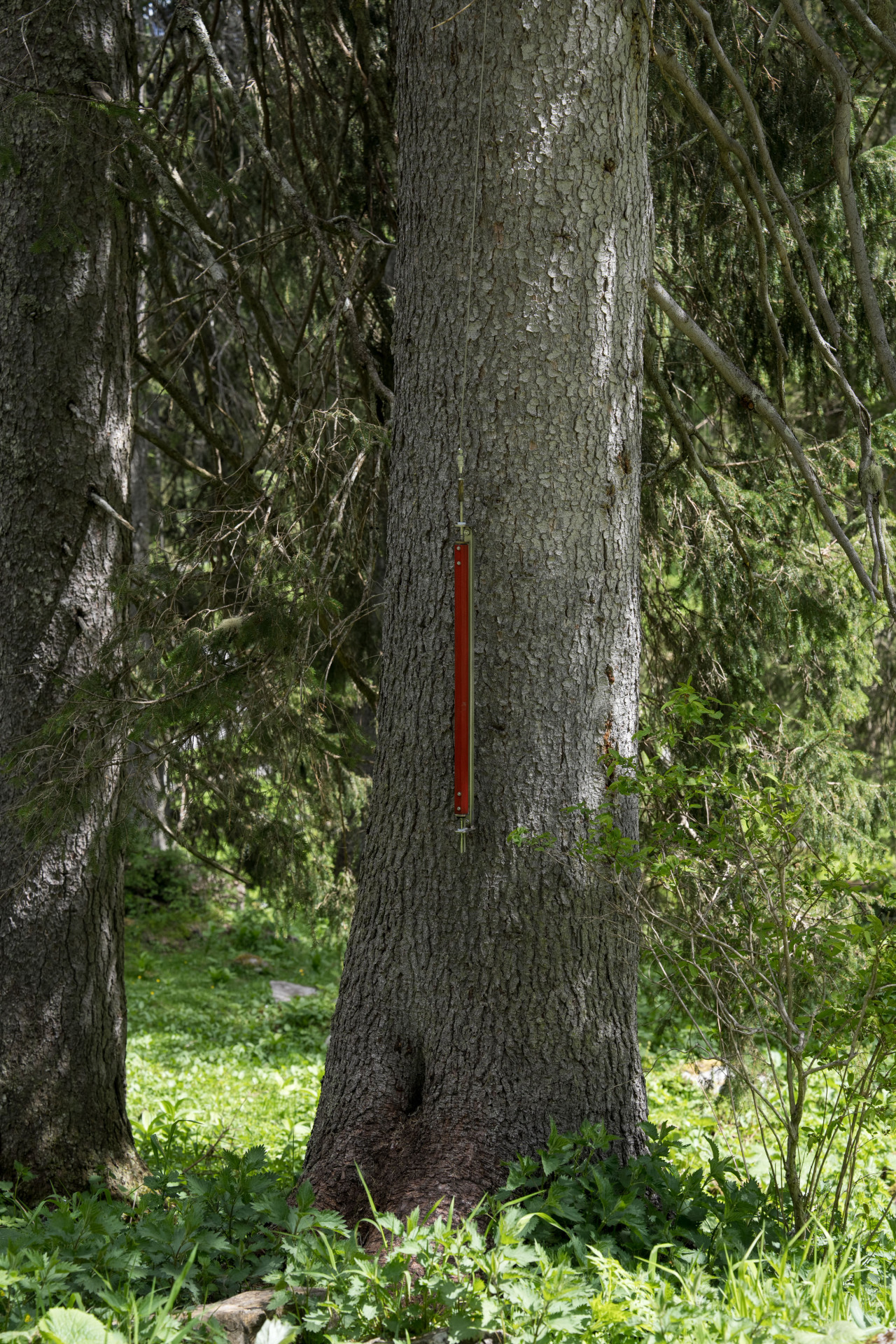 Das Seil der Klangskulptur Zugspecht mit welchem man in 15 Meter höhe einen mechanischen Specht zum Klopfen bringen kann.