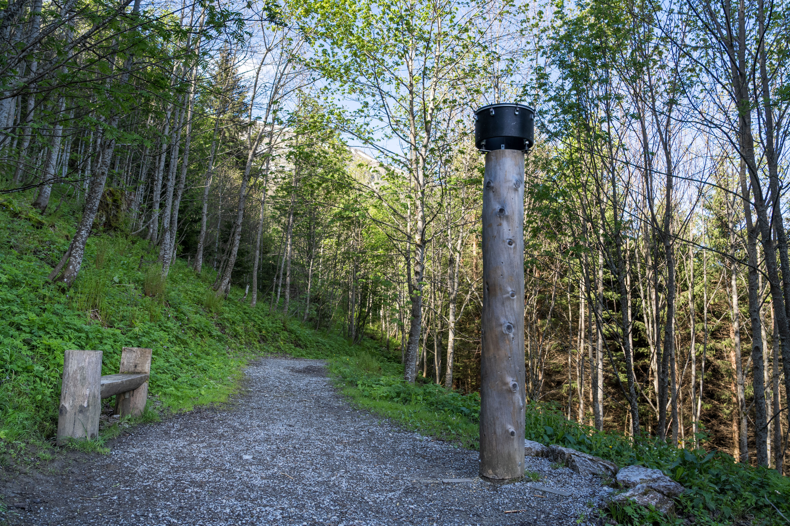 Donnertrommel platziert auf einem Baumstamm vor einer Holzbank auf dem Klangweg Toggenburg