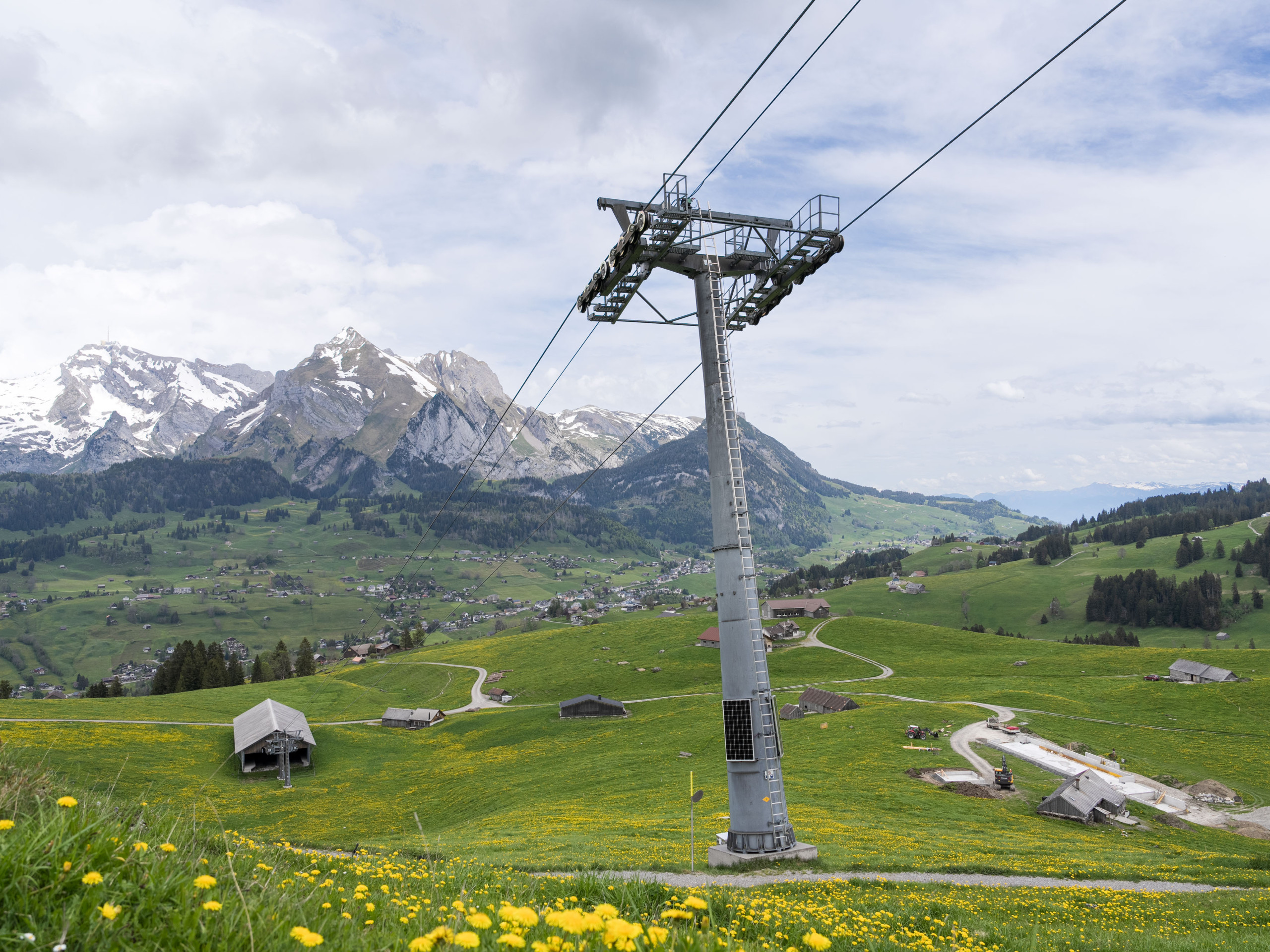 Mast der Toggenburger Bergbahn in mitten einer Alpenweide vor dem Alpstein Bergpanorama