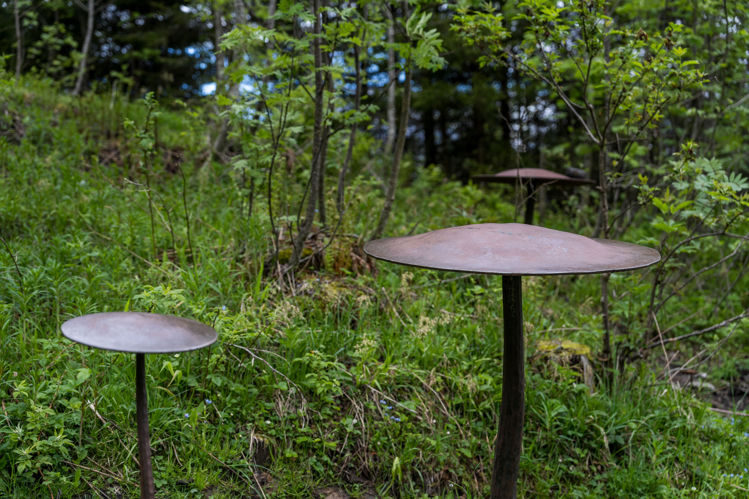 Drei Klangpilze aus Metall mitten im Wald des Toggenburger Klangweg