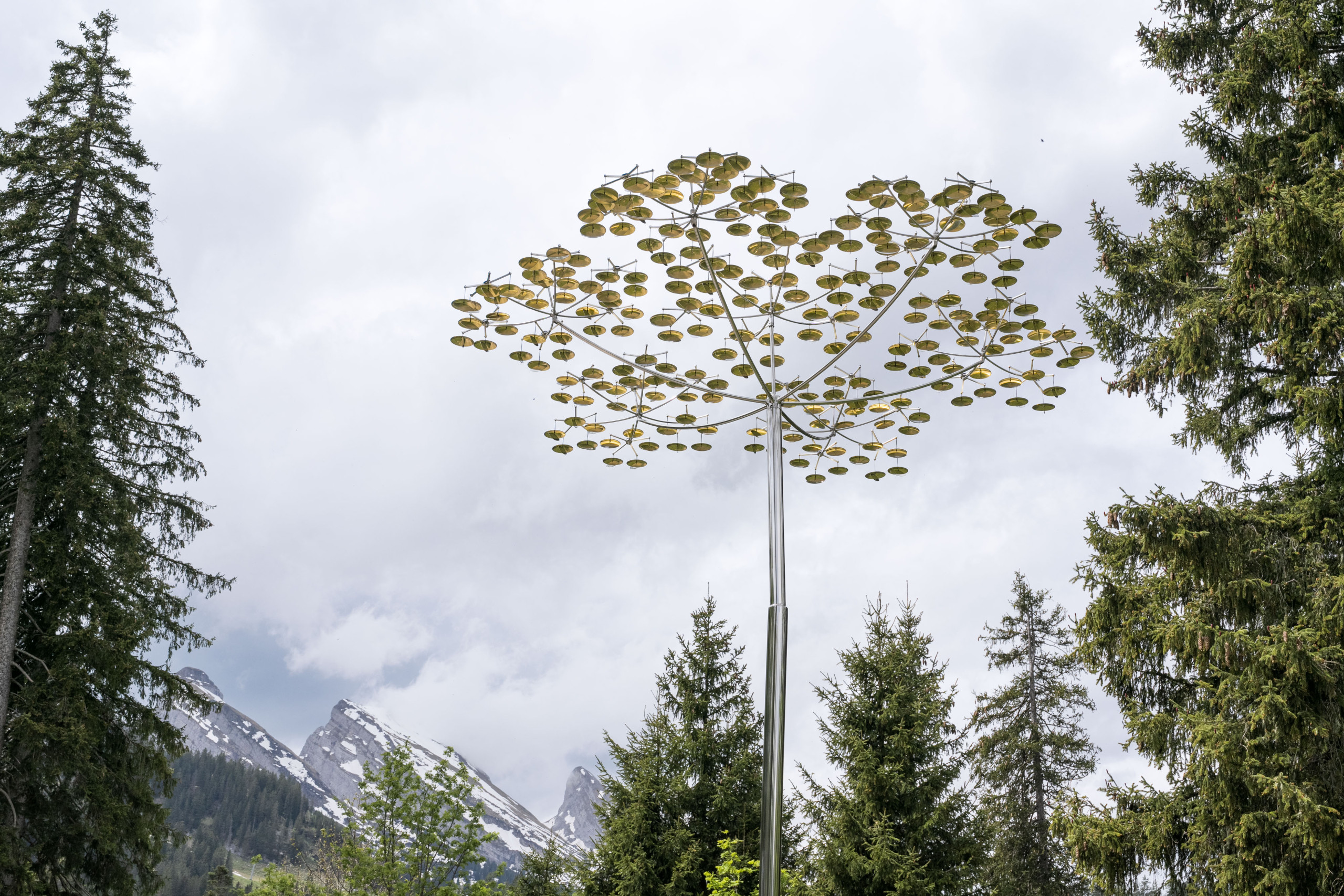 245 Klangschalen angeordnet wie die Blüte der Wilden Möhre im Wald mit Bergpanorama