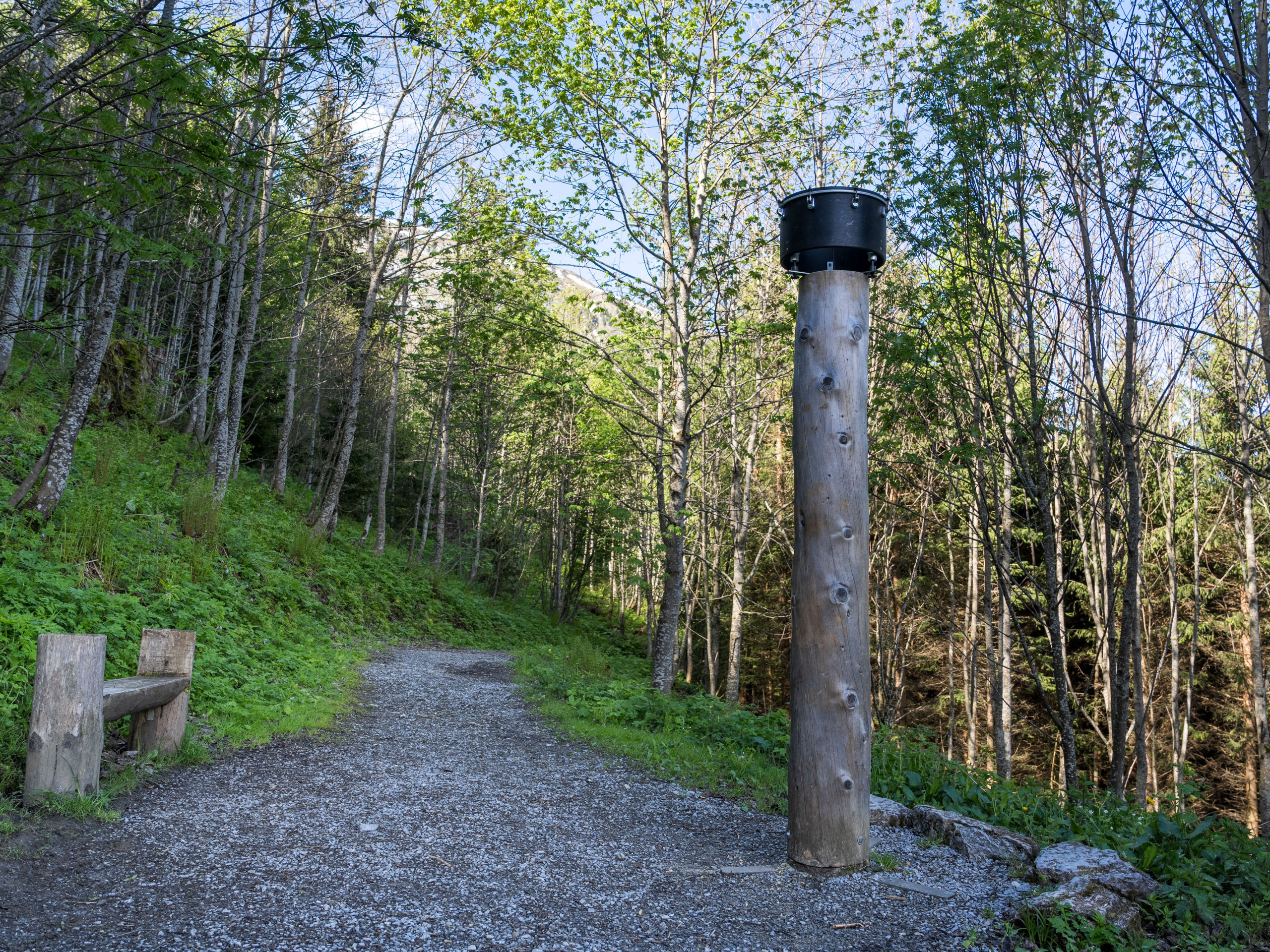 Donnertrommel platziert auf einem Baumstamm vor einer Holzbank auf dem Klangweg Toggenburg