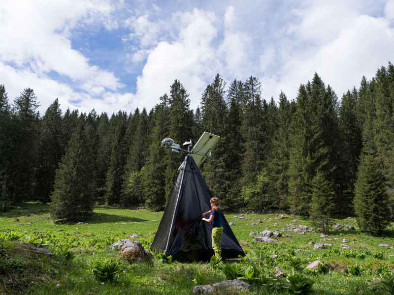 Das Zelt der Skulptur Edaphon auf der Toggenburger Alpweide auf dem Klangweg Toggenburg