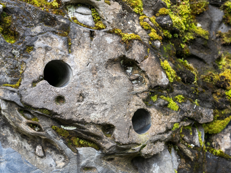 Zwei Löcher im moosüberwachsenen Felsen der Klangskulptur Felsentöne