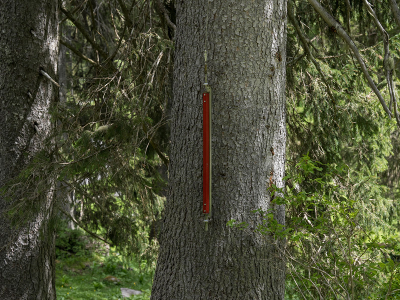 Das Seil der Klangskulptur Zugspecht mit welchem man in 15 Meter höhe einen mechanischen Specht zum Klopfen bringen kann.