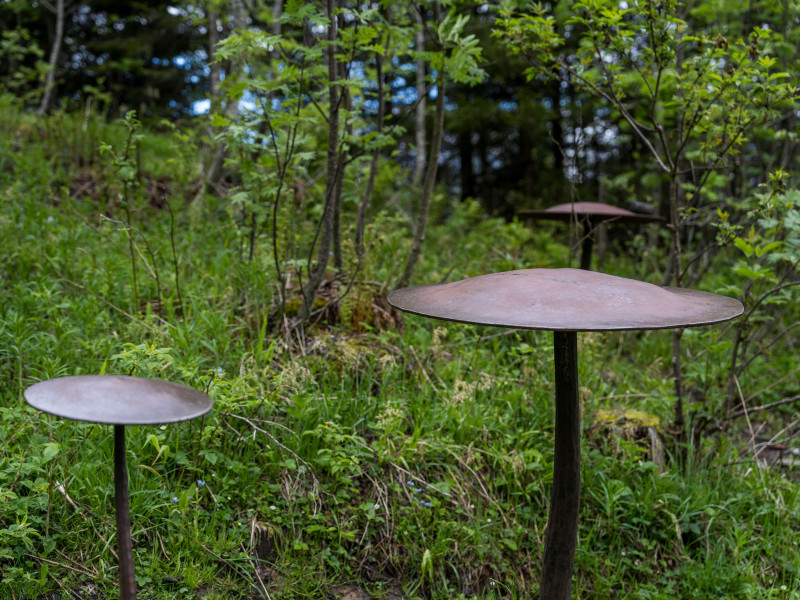 Drei Klangpilze aus Metall mitten im Wald des Toggenburger Klangweg